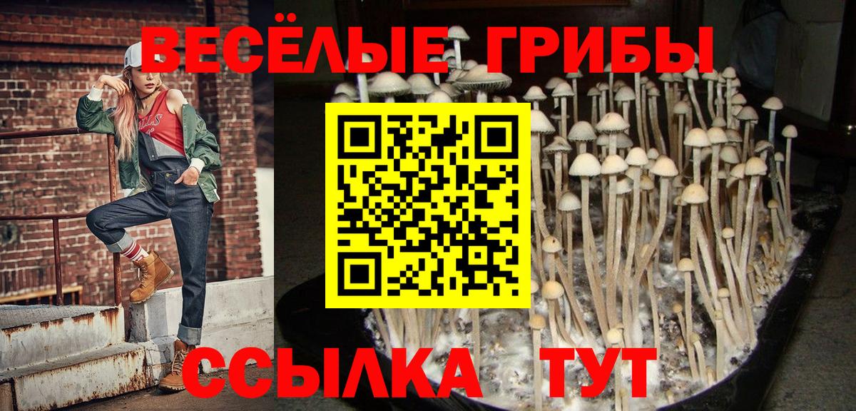 Скопин  как найти наркотики  Вход с VPN  Псилоцибиновые грибы ЛСД 